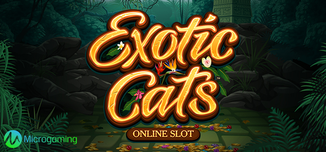 Exotic Cats from Microgaming Wait for Players on the Reels