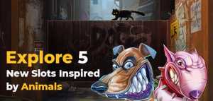 Explore 5 New Slots Inspired by Animals (Domestic and Wild)