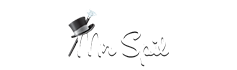 Mr Spil Casino