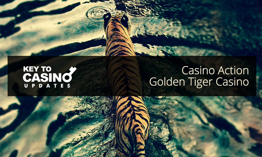 KeyToCasino Updates: Casino Action and Golden Tiger Casino