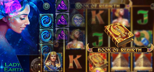 Microgaming or Spinomenal: Pick Your New Slot!