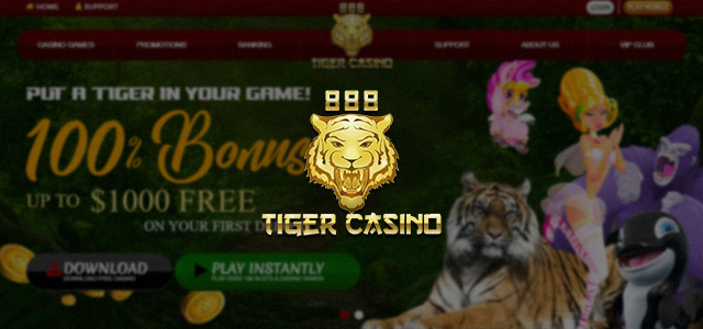 Superior Gaming Group Becomes the Owner of 888 Tiger Casino
