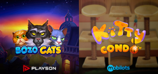 Enjoy The Company of Kitties in 2 New Slots (Mobilots and Playson)