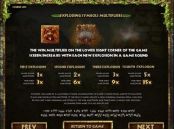 'Rook's Revenge' by 'BetSoft'. Click the image to enlarge.