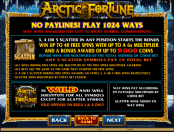 'Arctic Fortune' by 'Microgaming'. Click the image to enlarge.