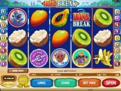 'Big Break' by 'Microgaming'. Click the image to enlarge.
