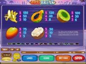 'Big Break' by 'Microgaming'. Click the image to enlarge.