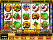 'Big Kahuna' by 'Microgaming'. Click the image to enlarge.