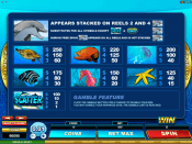 'Dolphin Coast' by 'Microgaming'. Click the image to enlarge.