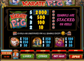 'Karate Pig' by 'Microgaming'. Click the image to enlarge.