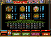 'Karate Pig' by 'Microgaming'. Click the image to enlarge.