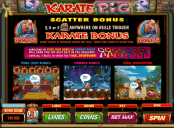 'Karate Pig' by 'Microgaming'. Click the image to enlarge.