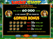 'Lucky Shot' by 'Microgaming'. Click the image to enlarge.