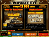 'Private Eye' by 'Microgaming'. Click the image to enlarge.
