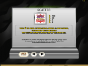 'Retro Reels' by 'Microgaming'. Click the image to enlarge.