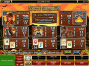 'Sunset Showdown' by 'Microgaming'. Click the image to enlarge.