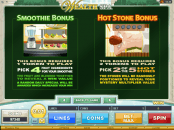 'Wealth Spa' by 'Microgaming'. Click the image to enlarge.