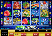 'What a Hoot' by 'Microgaming'. Click the image to enlarge.