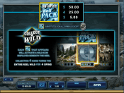 'Untamed Wolf Pack' by 'Microgaming'. Click the image to enlarge.