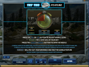 'Untamed Wolf Pack' by 'Microgaming'. Click the image to enlarge.