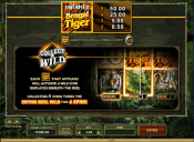 'Untamed Bengal Tiger' by 'Microgaming'. Click the image to enlarge.