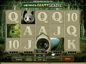 'Untamed Giant Panda' by 'Microgaming'. Click the image to enlarge.