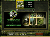 'Untamed Giant Panda' by 'Microgaming'. Click the image to enlarge.