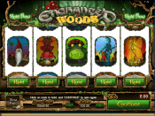 'Enchanted Woods' by 'Microgaming'. Click the image to enlarge.