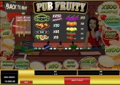 'Pub Fruity' by 'Microgaming'. Click the image to enlarge.