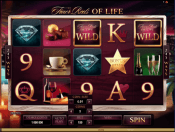 'The Finer Reels of Life' by 'Microgaming'. Click the image to enlarge.