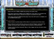 'Tiger vs Bear' by 'Microgaming'. Click the image to enlarge.