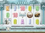 'White Buffalo' by 'Microgaming'. Click the image to enlarge.