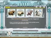 'White Buffalo' by 'Microgaming'. Click the image to enlarge.