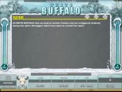 'White Buffalo' by 'Microgaming'. Click the image to enlarge.