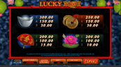 'Lucky Koi' by 'Microgaming'. Click the image to enlarge.