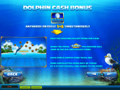 'Dolphin Cash' by 'Playtech'. Click the image to enlarge.