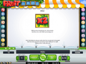 'Fruit Shop' by 'Net Entertainment'. Click the image to enlarge.