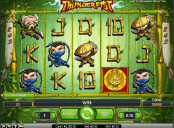 'Thunderfist' by 'Net Entertainment'. Click the image to enlarge.