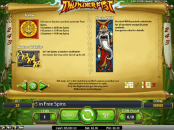 'Thunderfist' by 'Net Entertainment'. Click the image to enlarge.