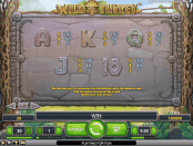 'Wild Turkey' by 'Net Entertainment'. Click the image to enlarge.