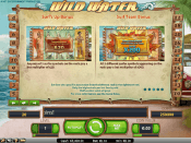 'Wild Water' by 'Net Entertainment'. Click the image to enlarge.