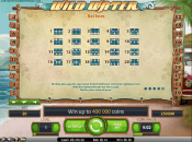 'Wild Water' by 'Net Entertainment'. Click the image to enlarge.