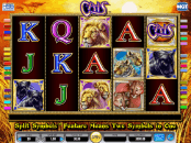 'Cats' by 'IGT'. Click the image to enlarge.