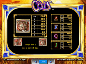 'Cats' by 'IGT'. Click the image to enlarge.