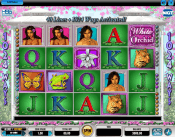 'White Orchid' by 'IGT'. Click the image to enlarge.