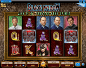 'Black Widow' by 'IGT'. Click the image to enlarge.