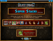 'Black Widow' by 'IGT'. Click the image to enlarge.