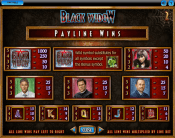 'Black Widow' by 'IGT'. Click the image to enlarge.