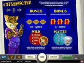 'Cats and Cash' by 'Play'n GO'. Click the image to enlarge.