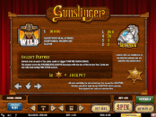 'Gunslinger' by 'Play'n GO'. Click the image to enlarge.